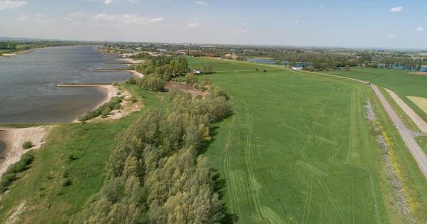 Zorgen om grondwater én om de kwartelkoning door komst van overnachtingshaven in Spijk