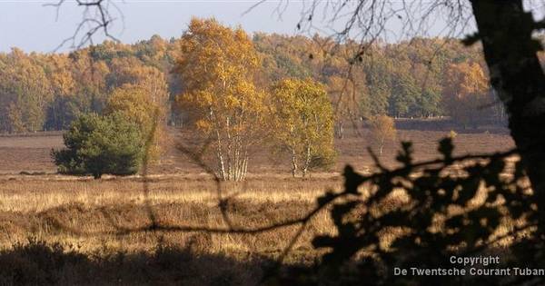 Boeren vrezen dat Vasse spookdorp wordt | Tubbergen - Tubantia