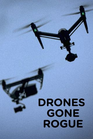 Drones Gone Rogue