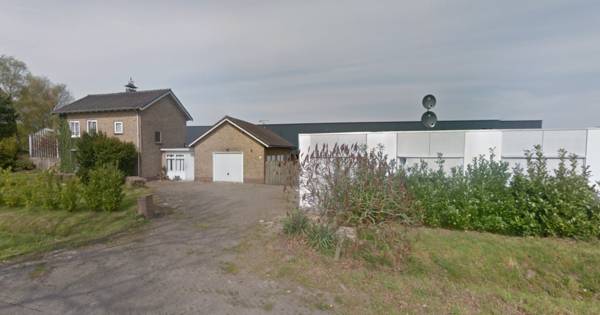 Doodsbedreigingen en vermeende slavernij tussen de frambozenstruiken in Haarsteeg - BD.nl