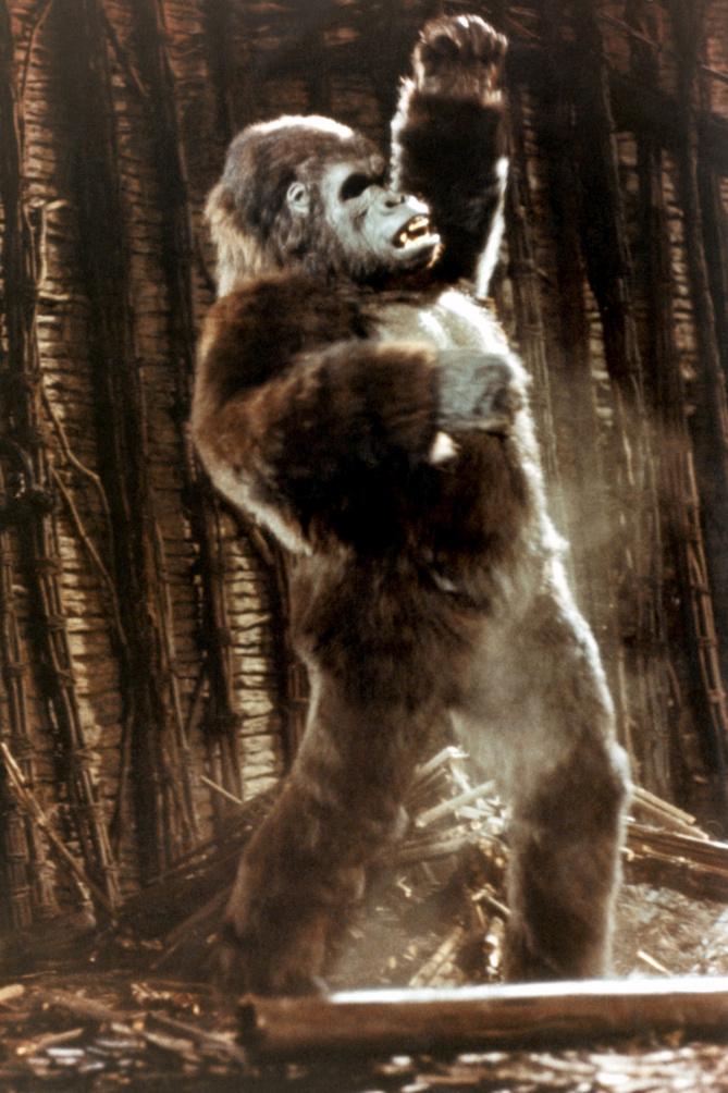 85 jaar King Kong: zoveel verschillen alle Kong’s in grootte