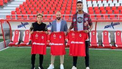 Antwerp pakt uit met vier transfers: Defour, Benson, Gano én Hoedt voorgesteld