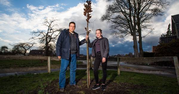 Allergische Susan is opgelucht nu walnotenboom eindelijk de tuin uit mag