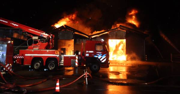 Zeer grote brand in diervoederfabriek Loosbroek: korpsen uit elf plaatsen uitgerukt - BN DeStem