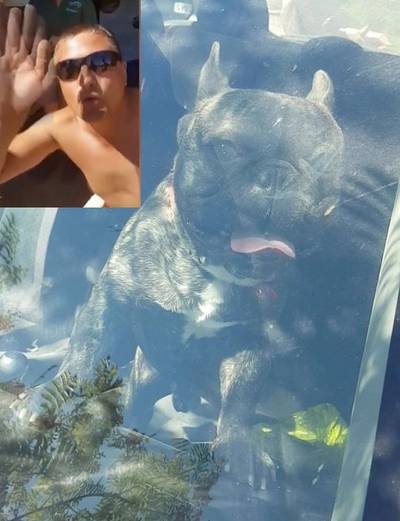 Voorbijgangers redden brakende hond uit snikhete auto