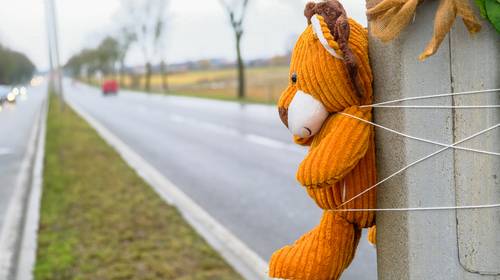 Obstakels veroorzaken meer dan 1 op de 4 doden op de weg