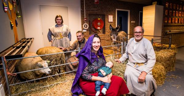 Levende kerststal in Herveld, met kindje van de buren