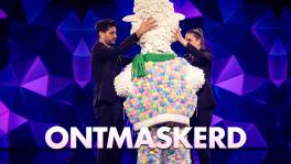 Ontmaskerd: Wie is Schaapje echt?