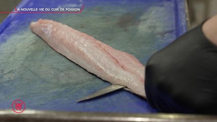 22. L'Atelier, Naninne