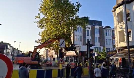 Omstreden bomenkap in Deurne al afgerond, Groen spreekt van ‘woordbreuk’ door stadsbestuur