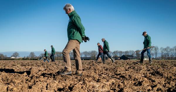 Vogelbeschermers in de Bommelerwaard: steeds meer begrip voor markeren nesten weidevogels - BD.nl