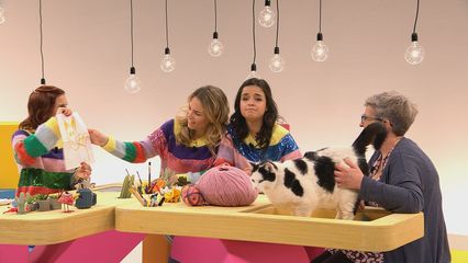 5. Dierendokter