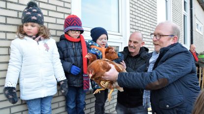 Kippen voor leerlingen Sint-Calasanz