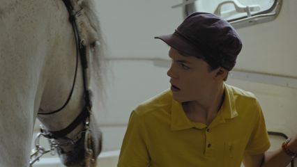 7. Het ponymysterie