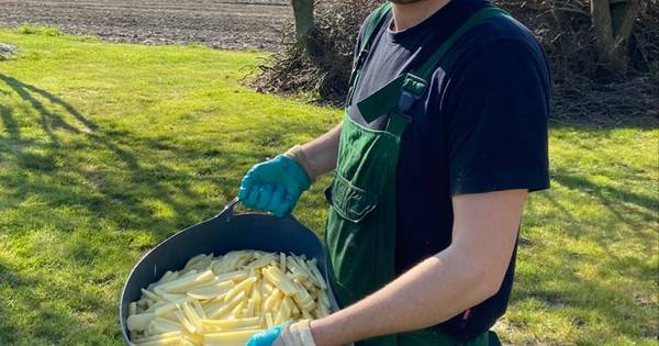 Landbouwbedrijf Nieuw Namen zoekt met eigen voorgesneden friet de consumenten op - BN DeStem