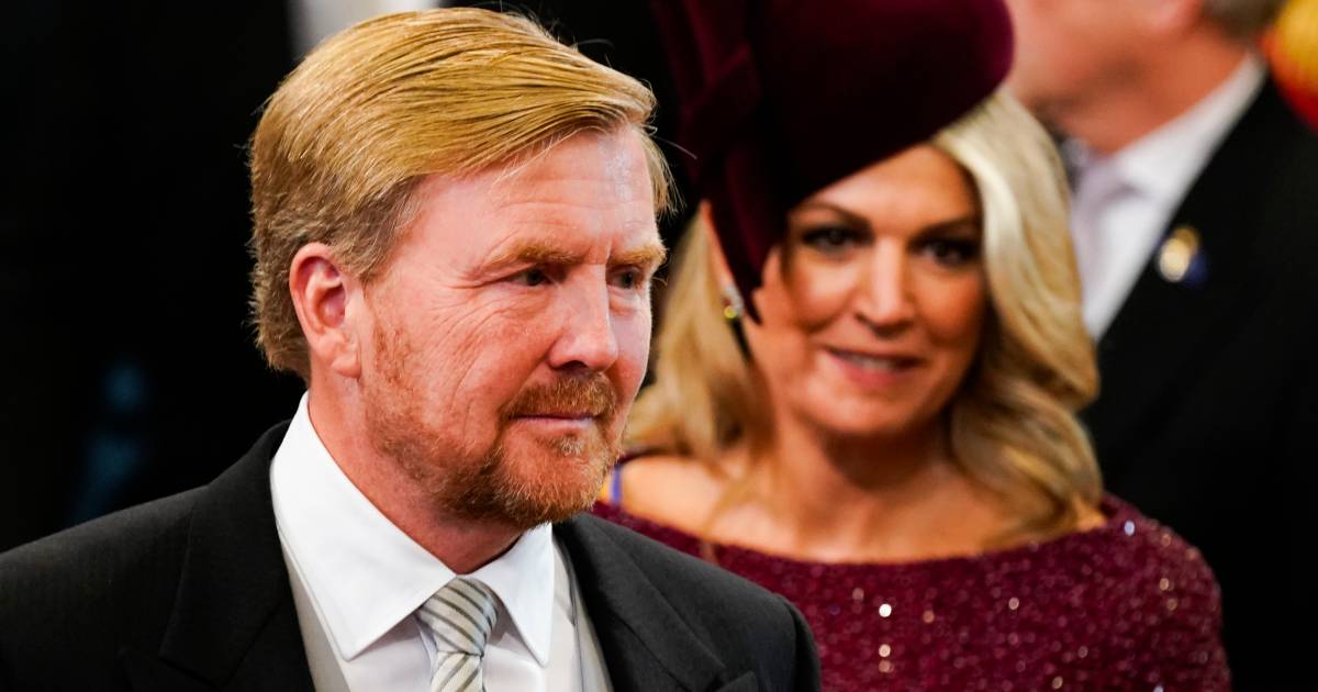 Even is de koning een popster: 'Dé baard maakt hem mannelijker' | Show |  bndestem.nl
