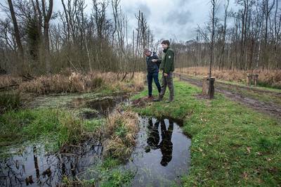 Vernatting van Ulvenhoutse Bos gaat verder in omgeving van de Broekloop