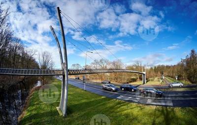 Rheden kiest toch voor eekhoornbruggen