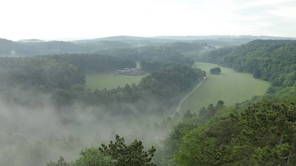 HAN: Human Animals Nature