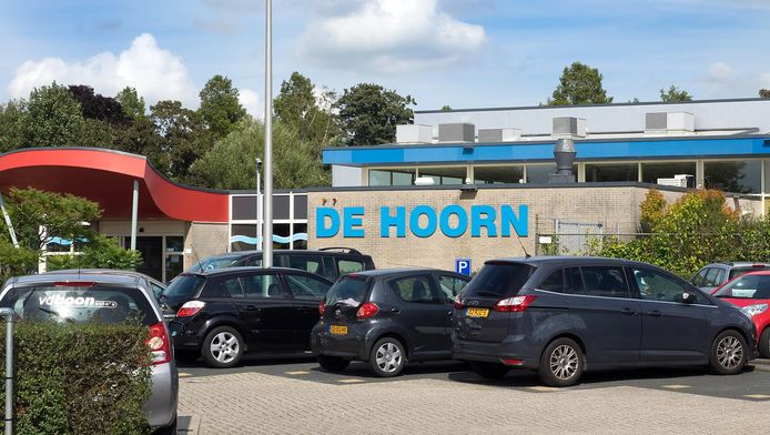 Klimmen En Zwemmen Bij Zwembad De Hoorn Binnenland Ad Nl