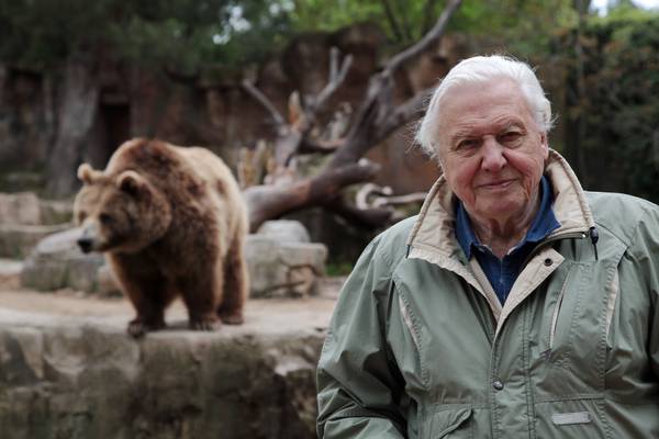 David Attenborough's Natural Curiosities