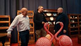 Gaat dit trio van flamingo's voor de overwinning zorgen?