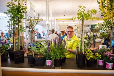 Vraag naar tuinplanten stijgt naar recordhoogte: ‘Meest idiote voorjaar ooit’