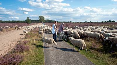 Ondanks inspanningen geen vliegerfeest bij Heideweek Ede