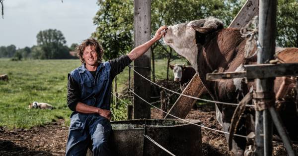 De bruisende bodem en blije koeien van Gerjo