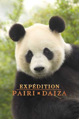 Expédition Pairi Daiza