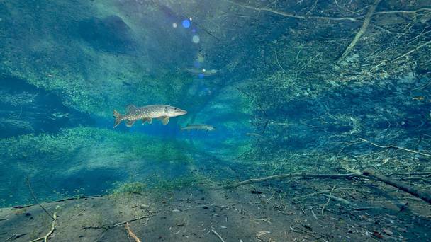 The invisible river