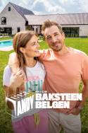 boxcover van Andy en de Baksteen Belgen