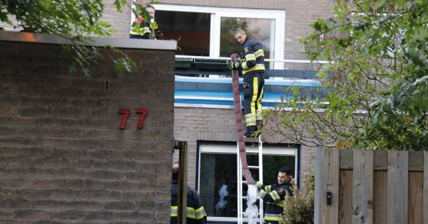 Stop Uit Zwembad Op Balkon Water Bij De Onderburen In Huis Nijmegen Ad Nl