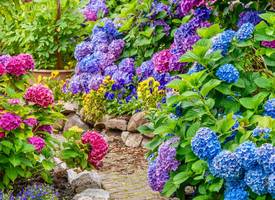 Zo krijgen je planten genoeg water als je op vakantie bent