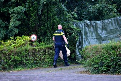 Roemeen bekent fataal schot in Chaam