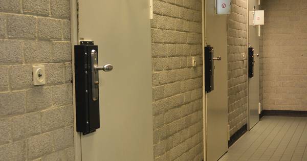 Hond met geweld gestolen in Stavenisse: 3 verdachten aangehouden