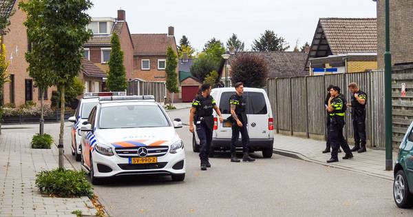 Opnieuw overval op speciale vervoerder, koerier Reviva bedreigd met vuurwapen in Budel-Schoot - Eind