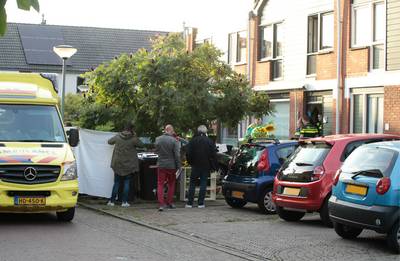 Trois morts dans une fusillade aux Pays-Bas