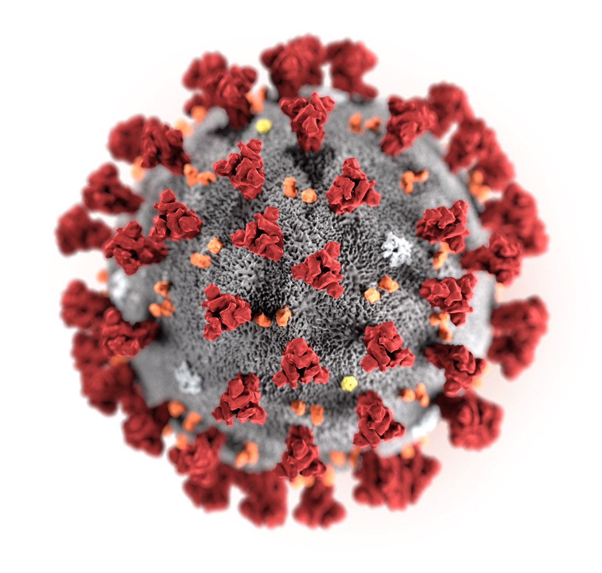Wat het coronavirus zo moeilijk uit te roeien maakt: dit weten we ...