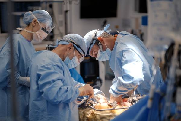 Surgeons: At the Edge of Life