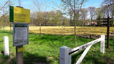 D66 stelt vragen aan de minister over oranje akkers