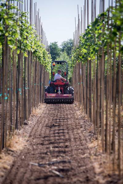 Boomkweker is welkom in Ingen, ondanks bezwaren milieugroep