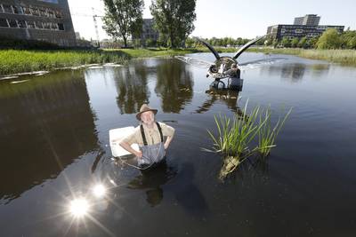 Camera beschermt de mega-waterkever tegen vandalen