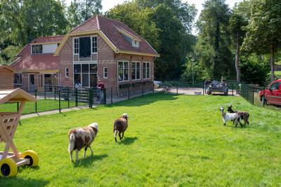 Dieren wennen nog even voor het publiek komt