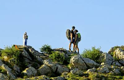 Pelgrimstocht van meer dan 100 kilometer is vooral ‘therapeutische’ reis