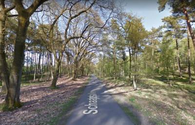 Schaapsallee bij Laag-Soeren moet dicht om rust in Veluwezoom te herstellen