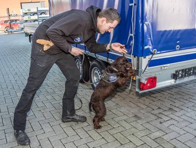 Dit schattige hondje is het nieuwste wapen tegen apensmokkel