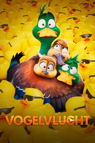 Vogelvlucht