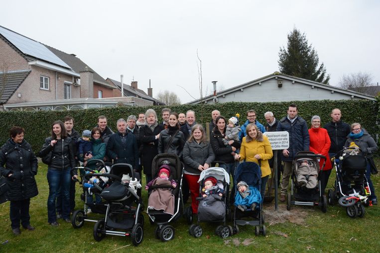 Jonge ouders planten geboorteboom | Sint-Gillis-Waas | In ...