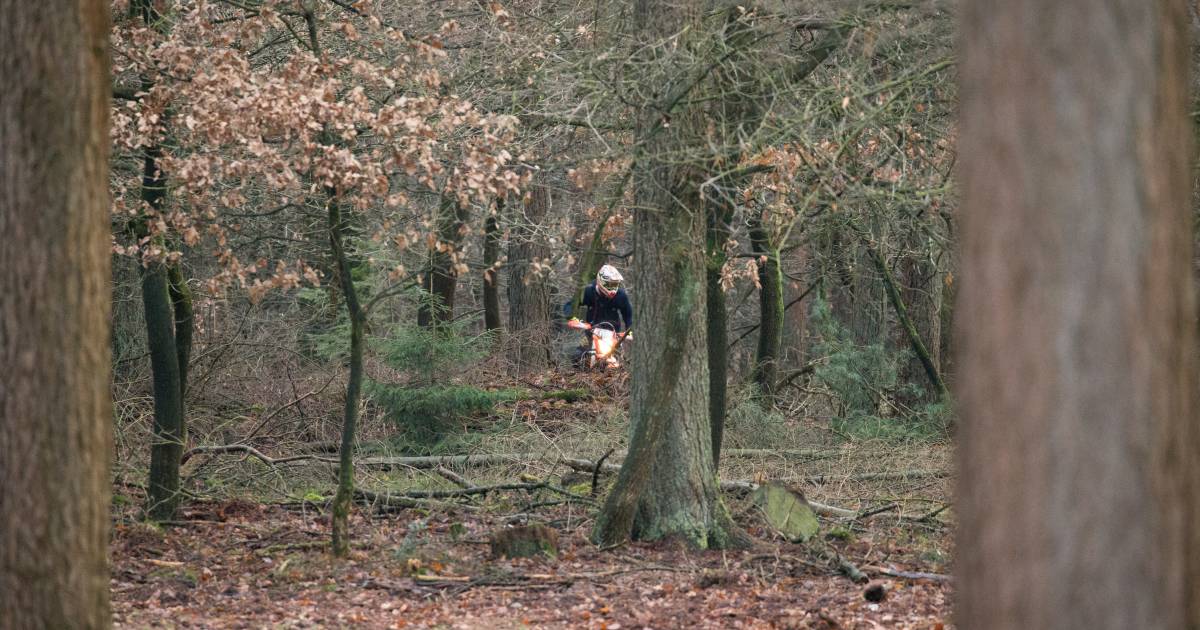 Motorcrosser rijdt door na aanrijding met boa in bossen bij Vessem.